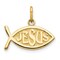 10K Yellow Gold Jesus Ichthus Fish Charm Pendant New 15 X 16mm Jewerly